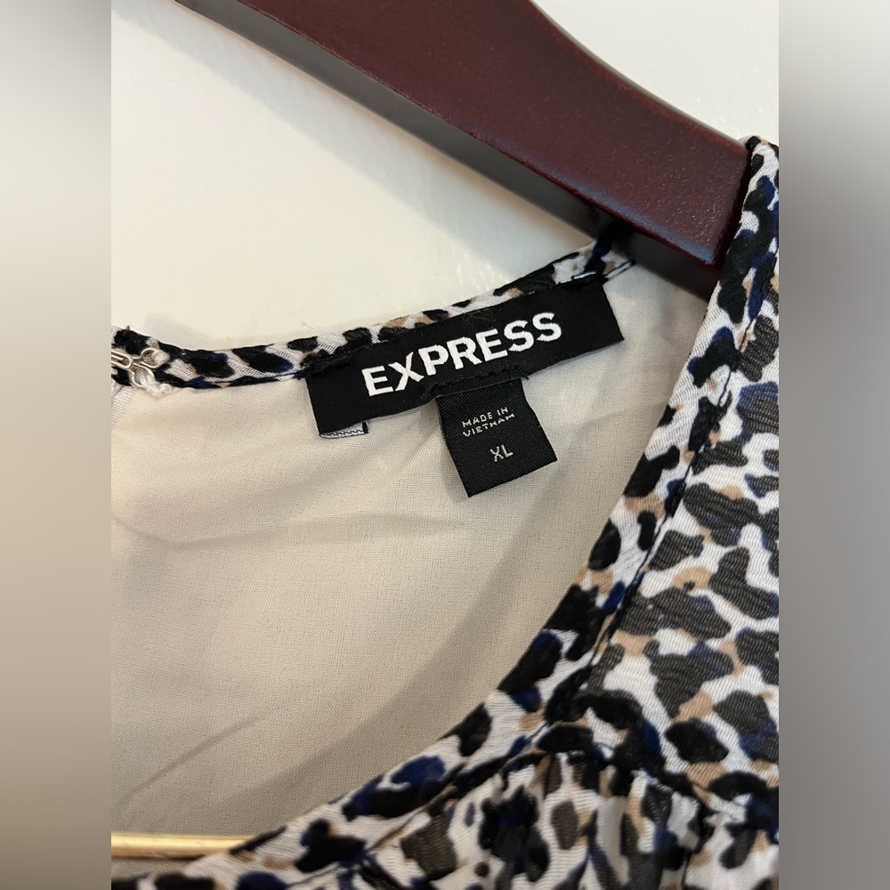 Express Leopard Print Ruffly Mini Dress - Picture 3 of 4